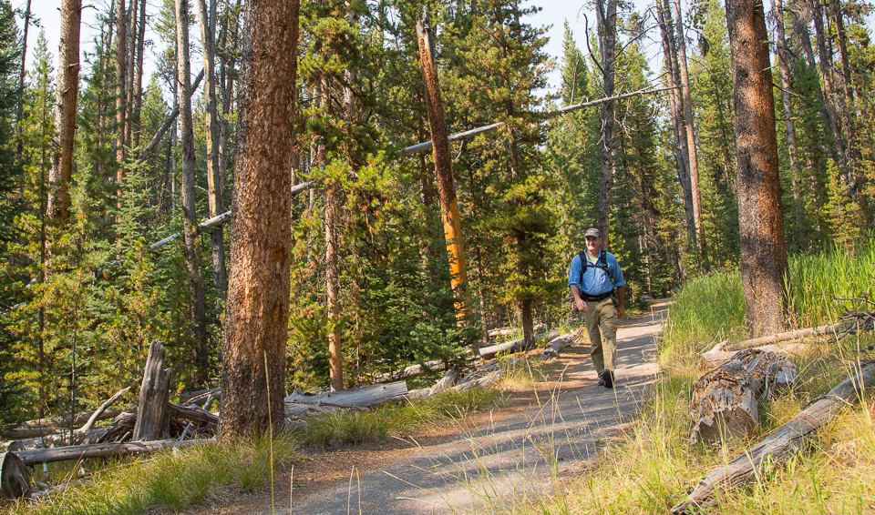 Photo of someone walking the path between Canyon Village and the rim