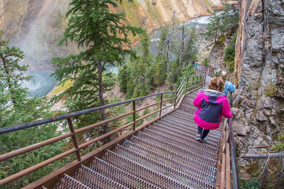 Photo of the view of Lower Falls from Uncle Tom's Trail